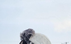 爱我就把我来追求广场舞